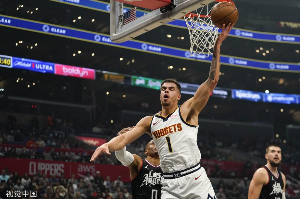 界的常青树 界的常青树