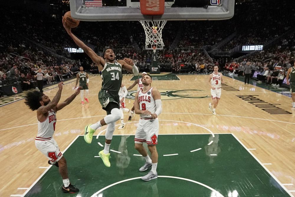 培养和使用 培养和使用